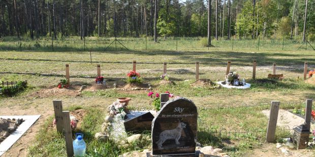 Jēkabpils dzīvnieku kapsētas pakalpojumi ir pieprasīti
