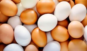 Самоуправление поддержало создание в Крустпилсской волости  комплекса по производству яиц и яичных продуктов