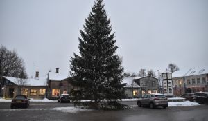 В Екабпилсе установили главную новогоднюю елку